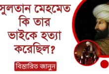 সুলতান মেহমেদ কি তার ভাইকে হত্যা করেছিল?