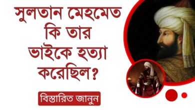 সুলতান মেহমেদ কি তার ভাইকে হত্যা করেছিল?