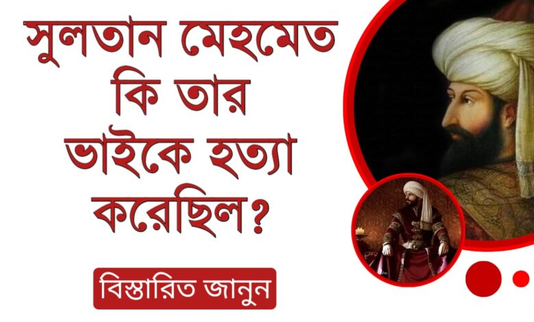 সুলতান মেহমেদ কি তার ভাইকে হত্যা করেছিল?